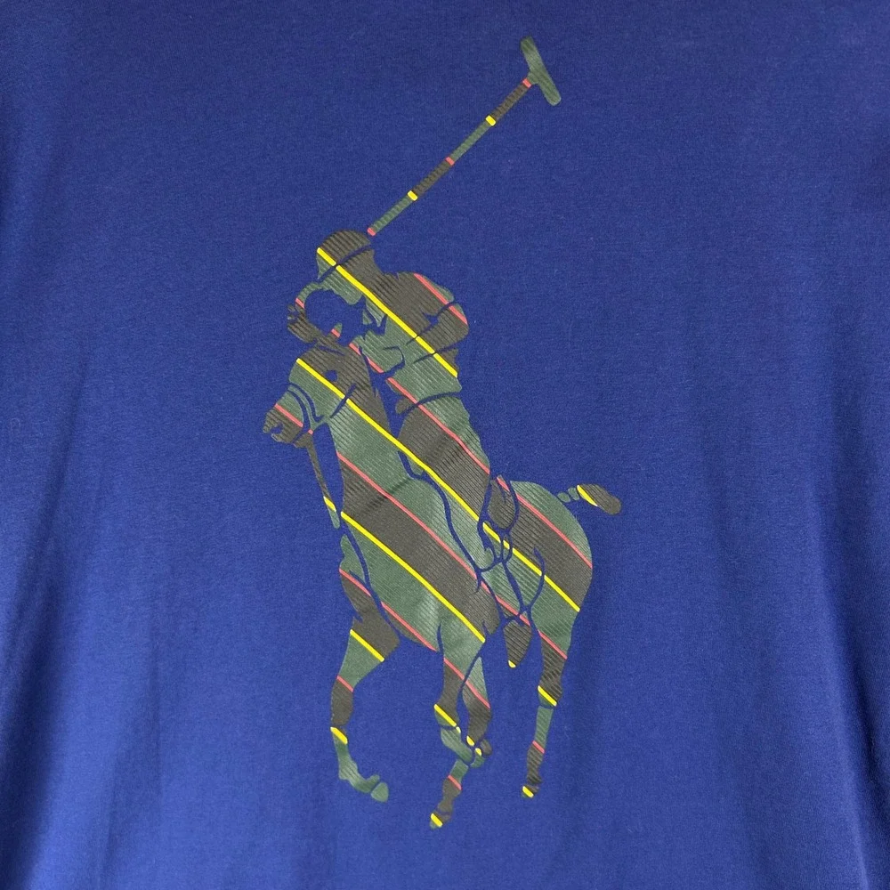 Polo Ralph Lauren Mens Blue Striped‎ Big Pony Graphic Hooded Long Sleeve Tee S
